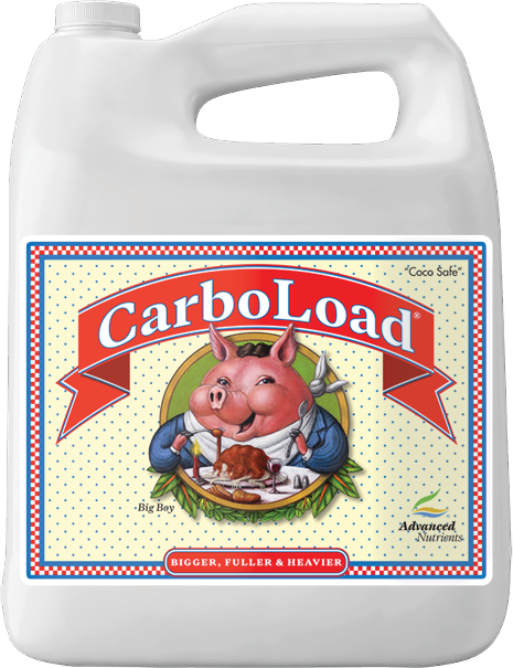 AN CarboLoad Liquid